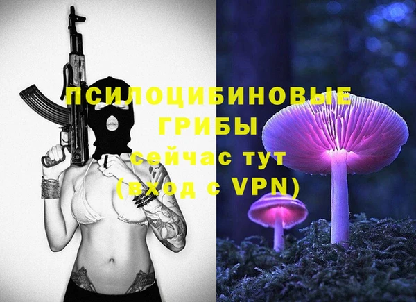 твердый Строитель